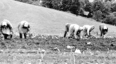 Historické fotky - osobnosti54