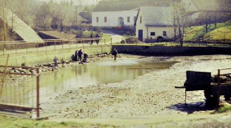 Rok 1994 - Výlov rybníka a vybagrování5