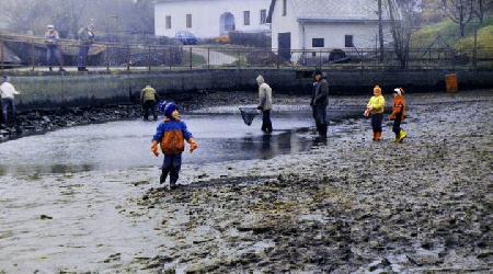 Rok 1994 - Výlov rybníka a vybagrování1